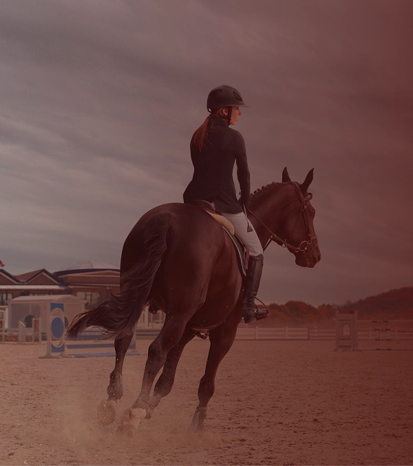 Cavalière vue de dos montant un cheval brun sur une piste sablonneuse avec installations équestres en arrière-plan.
